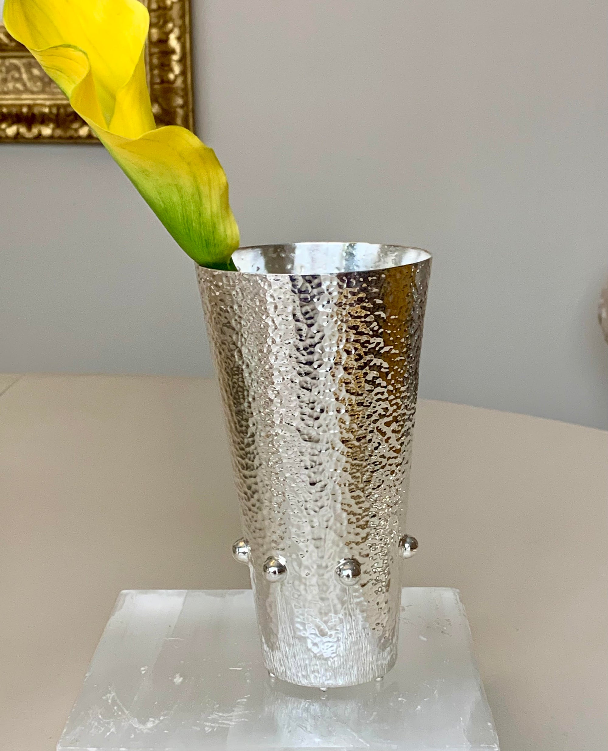 Venus Silver Tumbler